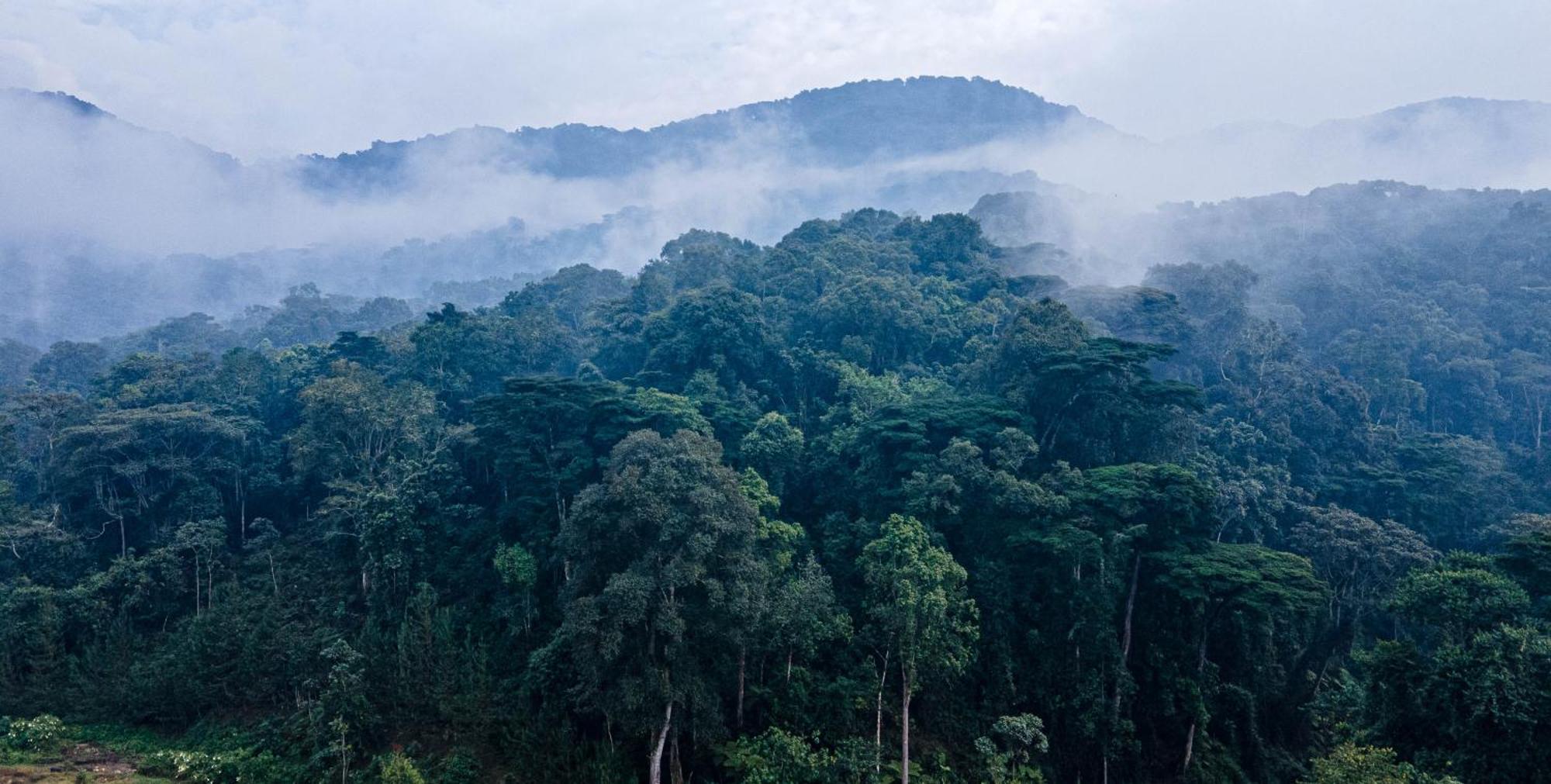 Gorilla Safari Lodge Rubuguli Eksteriør billede