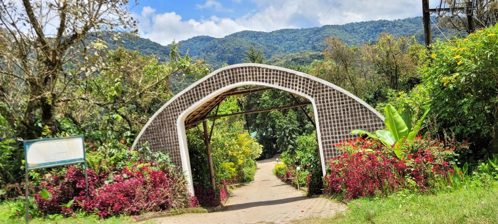 Gorilla Safari Lodge Rubuguli Eksteriør billede